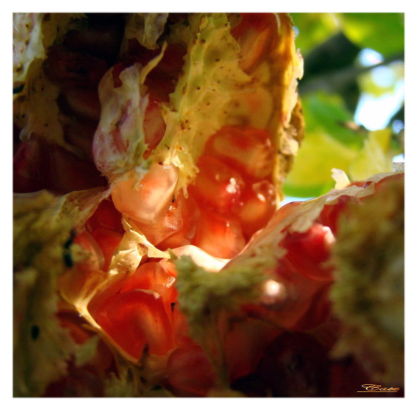 I colori dell''autunno...